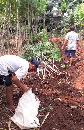 agussaputra--